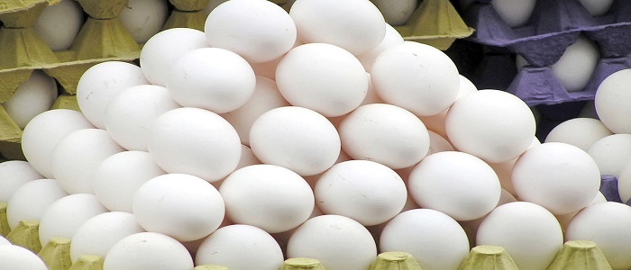 علت دوباره افزایش قیمت تخم مرغ در روز‌های اخیر چیست؟ /درج قیمت ۱۱۰۰ تومان بر روی هر تخم مرغ