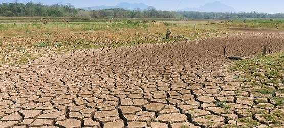 دیو خشکسالی در کمین البرز/ کاهش چشمگیر بارش باران در استان چه تبعاتی دارد؟