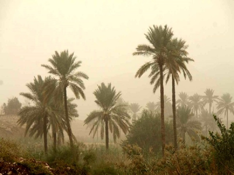 احتمال نفوذ گرد و غبار به جو استان در اواخر هفته جاری