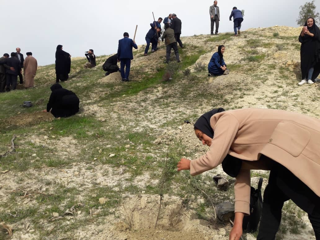 درختان محافظان آیندگان اند درختان محافظان آیندگان اند