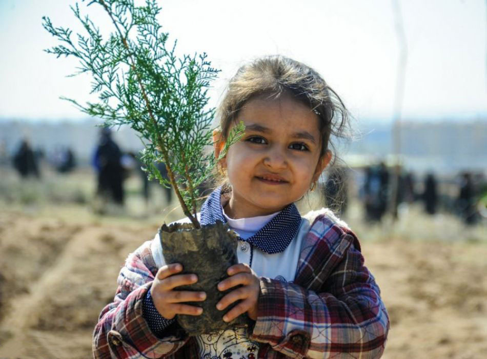 درختان محافظان آیندگان اند درختان محافظان آیندگان اند