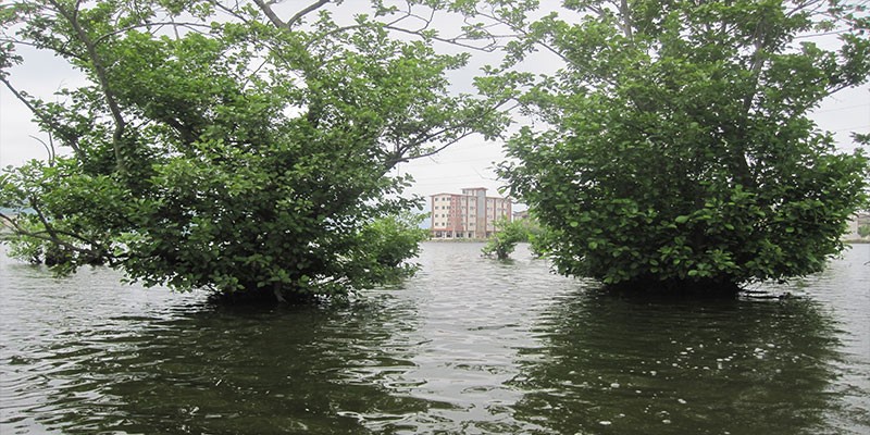 بهترین هتل های آستارا با قیمت مناسب بهترین هتل های آستارا با قیمت مناسب