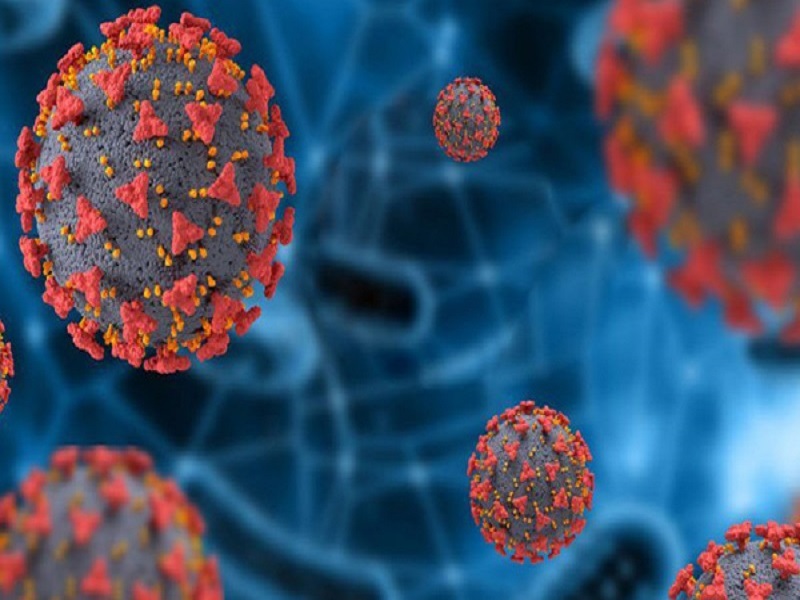 ٨۶ بیمار سرپایی شناسایی شد/ بستری ٢١ بیمار کرونایی در بخش ویژه بیمارستانهای استان کرمانشاه
