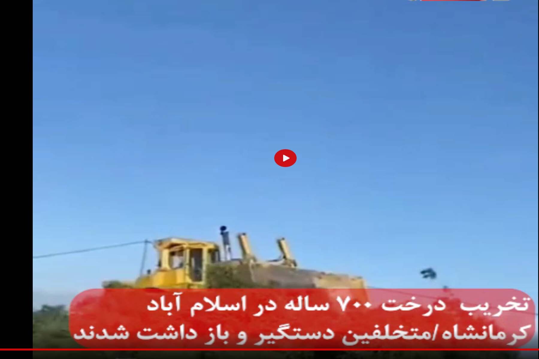 اداره کل منابع طبیعی فارس قطع درخت 700 ساله بلوط را تکذیب کرد اداره کل منابع طبیعی فارس قطع درخت 700 ساله بلوط را تکذیب کرد