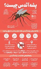 شهرستان نور؛ پنجمین شهر آلوده مازندران به پشه آئدس