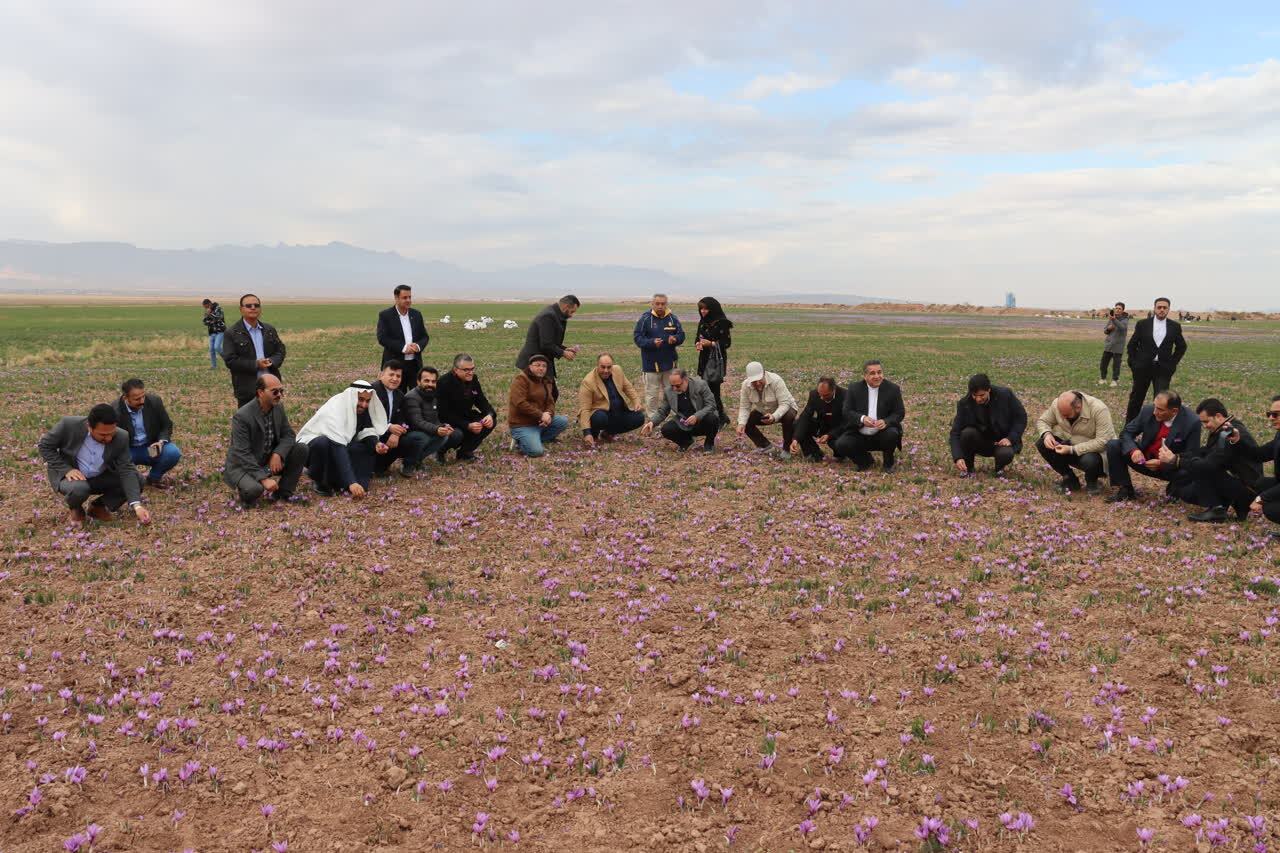 حضور سرکنسول&zwnj;های کشورهای عربستان، عراق، ترکیه و پاکستان در تور گردشگری مشهد - تربت حیدریه