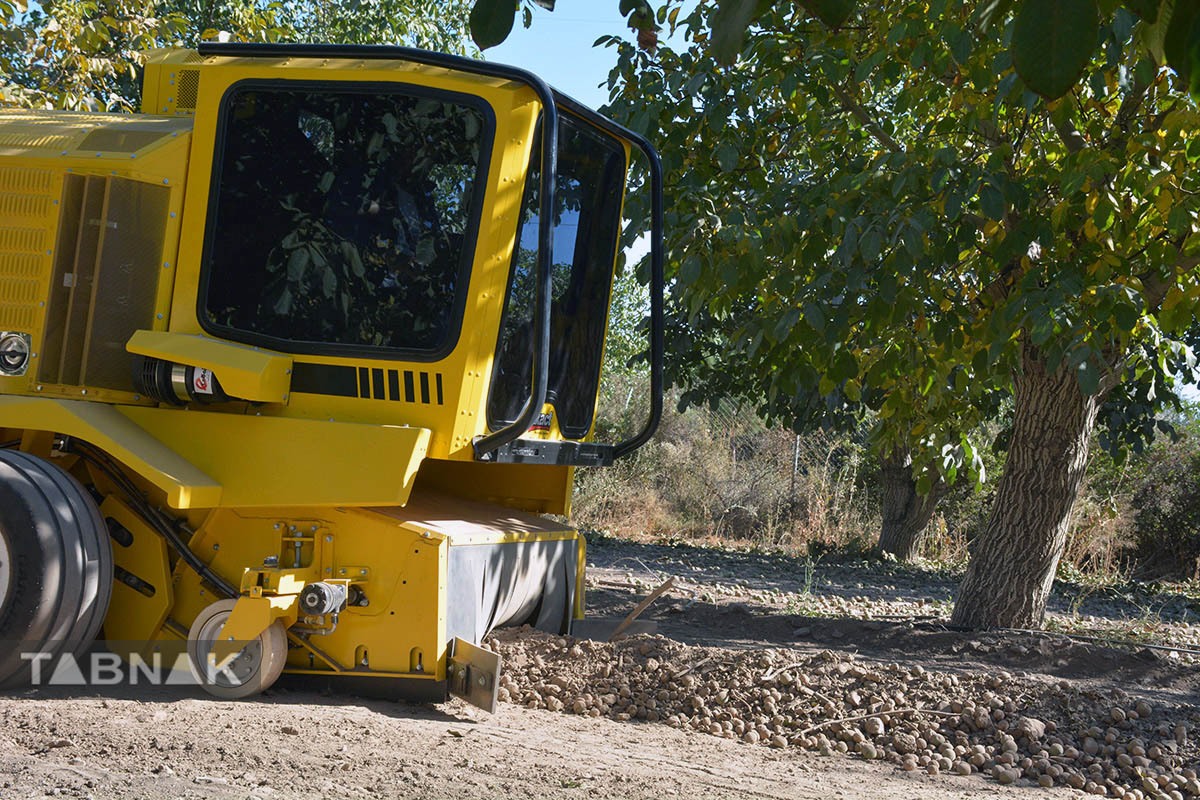 برداشت گردو اصلاح شده با دستگاه مکانیزه برداشت گردو اصلاح شده با دستگاه مکانیزه