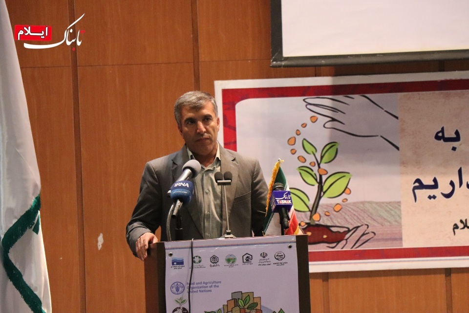 بیش از ۴۵۰ هکتار از جنگلهای ایلام امسال در آتش سوخت/قانون حفاظت خاک نیازمند همکاری ۱۵ دستگاه اجرایی است بیش از ۴۵۰ هکتار از جنگلهای ایلام امسال در آتش سوخت/قانون حفاظت خاک نیازمند همکاری ۱۵ دستگاه اجرایی است